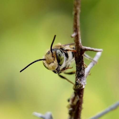 Photo #5869283