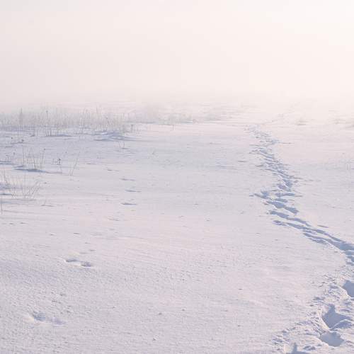 Photo #5869298