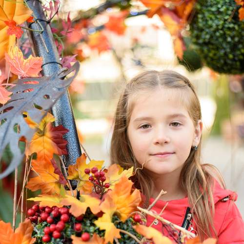 Photo #5869382