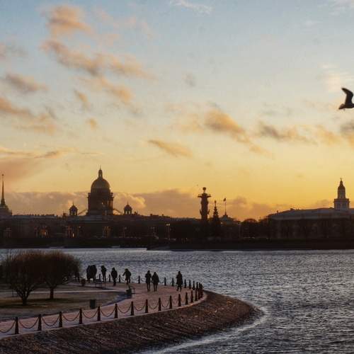 Photo #5869383