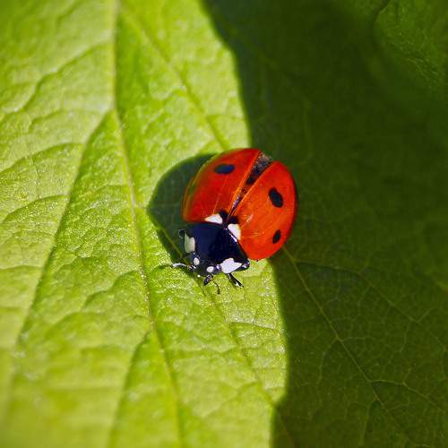 Photo #5869384