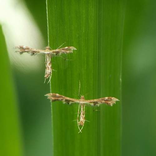 Photo #5869425
