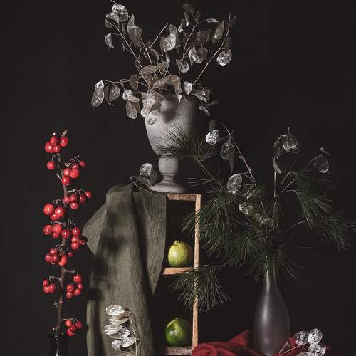 Photo #5869548