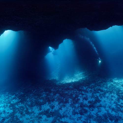 Photo #5869732