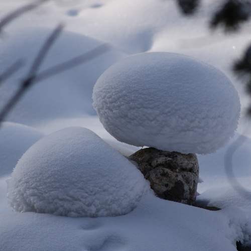 Photo #5869746