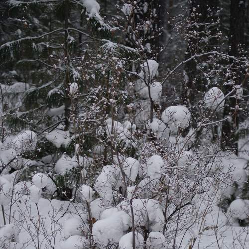 Photo #5869753