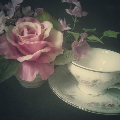 Photo #5869971