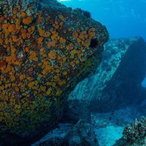 Photo #5870307