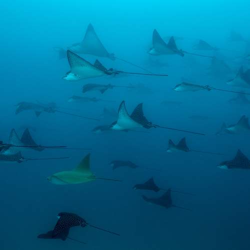 Photo #5870308