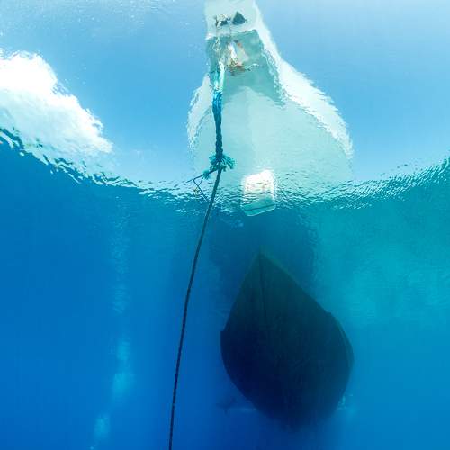 Photo #5870316
