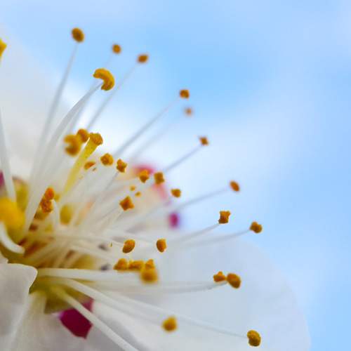 Photo #5870360