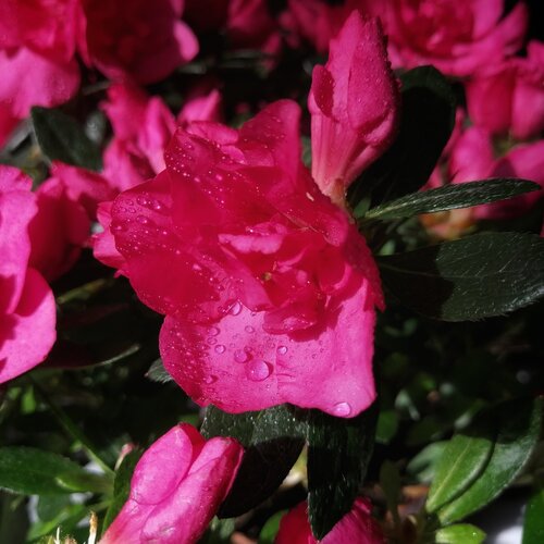 Photo #5870727