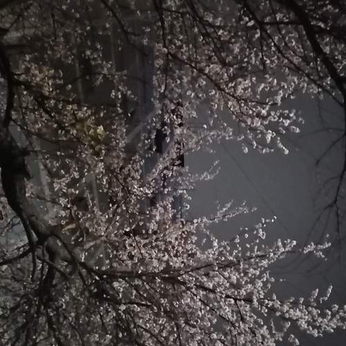Photo #5870873