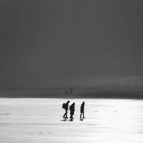 Photo #5871144