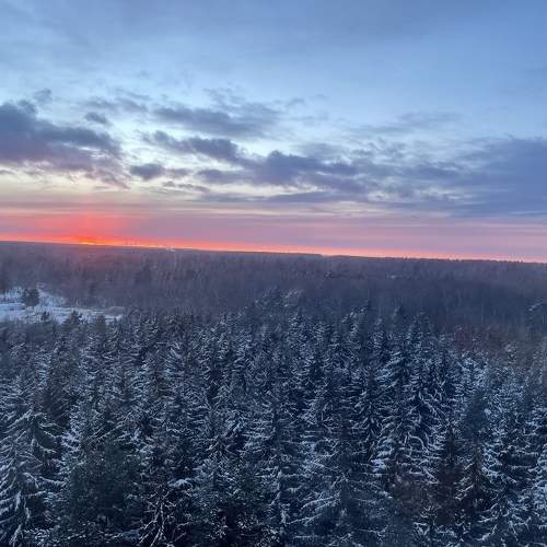 Photo #5871206