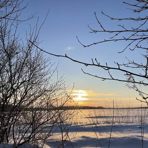 Photo #5871240
