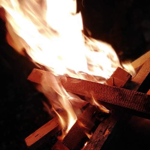Photo #5871286