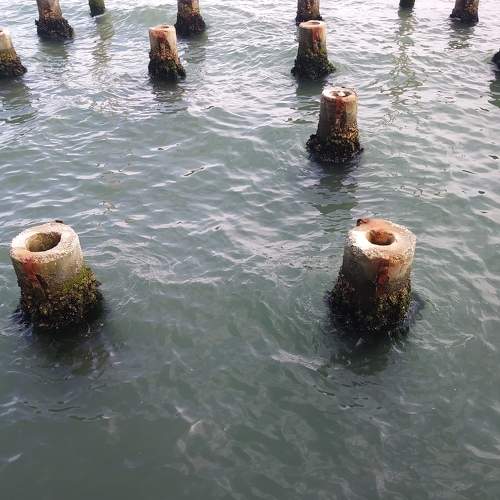 Photo #5871621