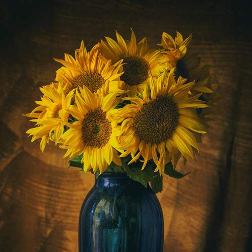 Photo #5871719