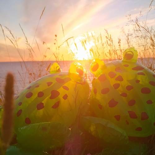 Photo #5871756