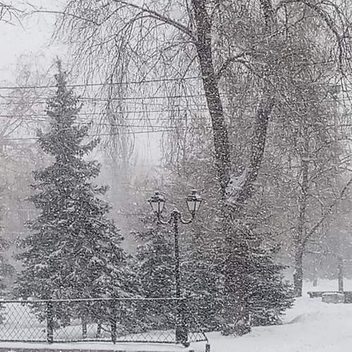 Photo #5872148