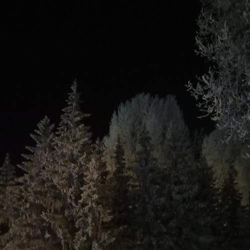 Photo #5872183