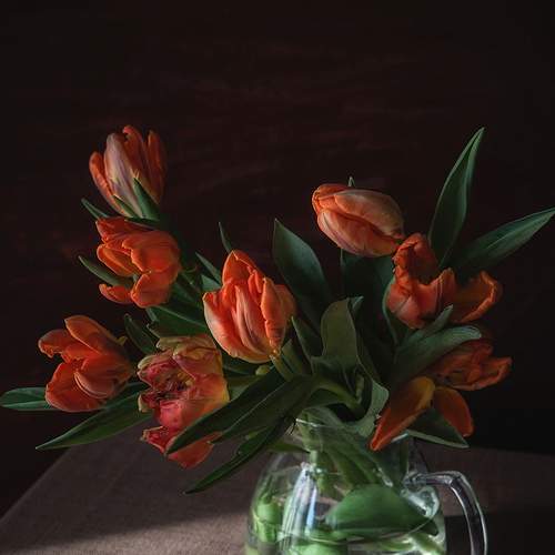 Photo #5872204