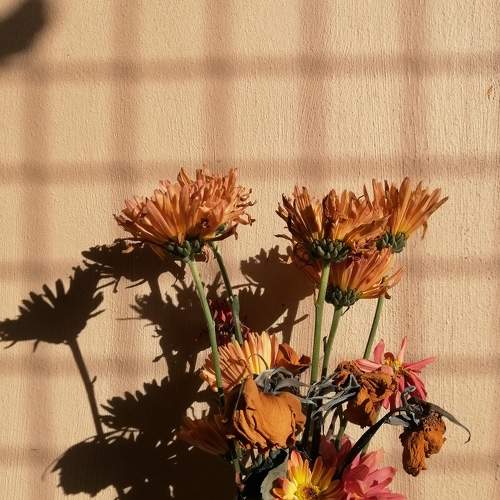 Photo #5872220