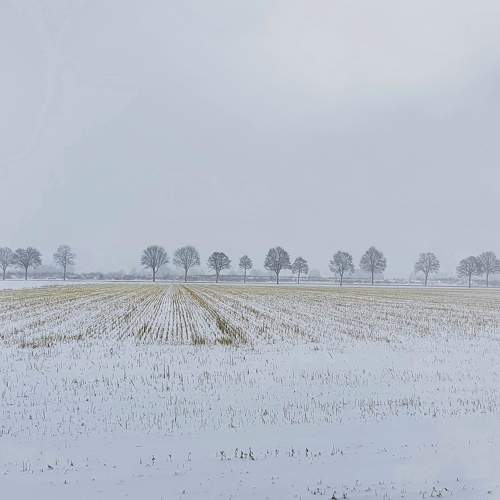 Snow Blanket