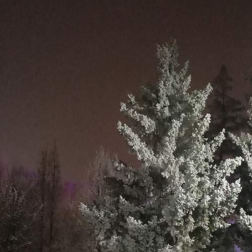 Photo #5872394