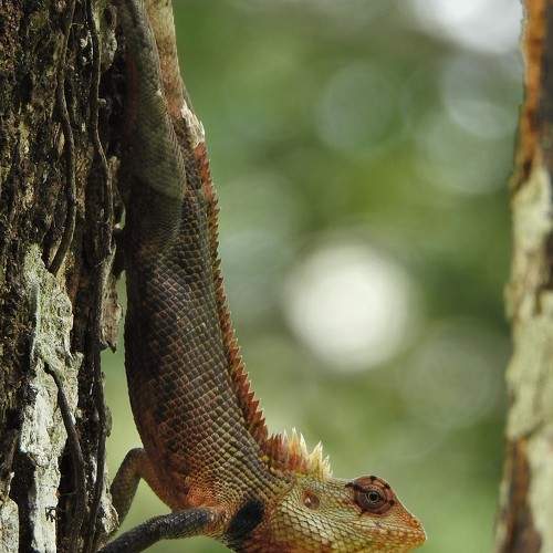 Photo #5872460