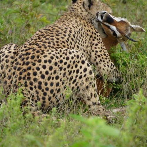 Photo #5872527
