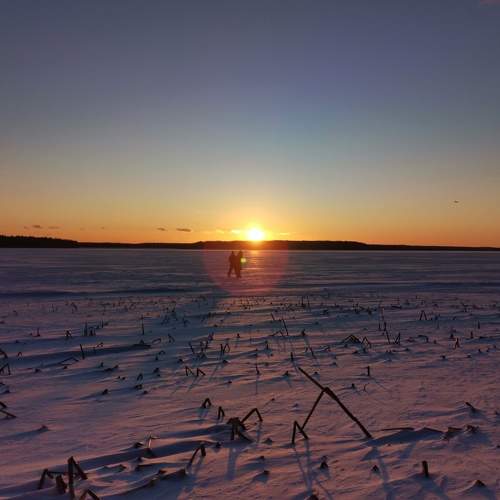 Photo #5872592