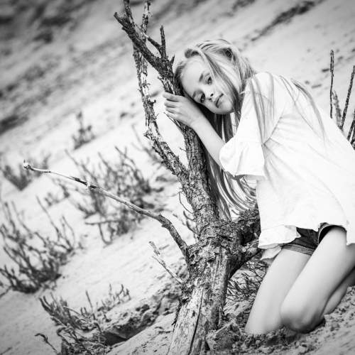Photo #5872784