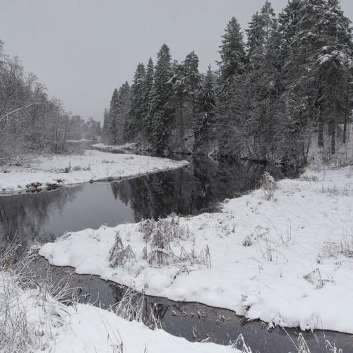 Photo #5872841