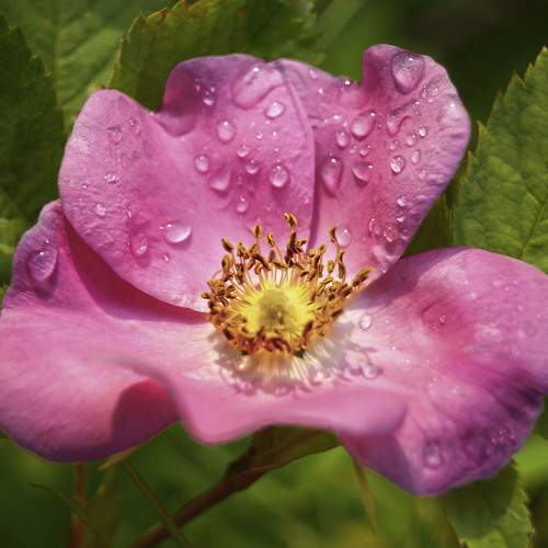 Photo #5873016