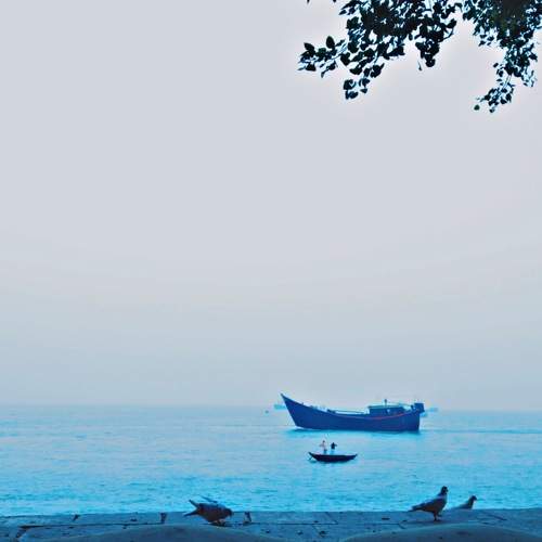 Photo #5873397