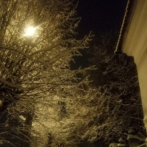 Photo #5873412