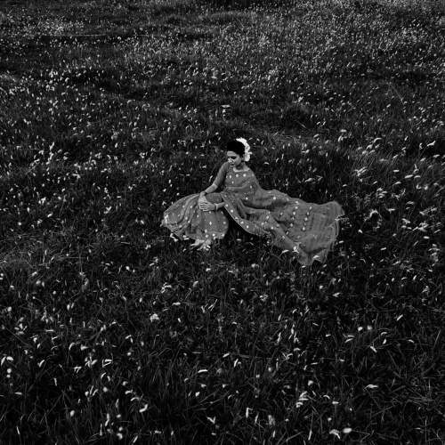 Photo #5873431