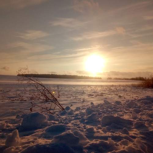Photo #5873468