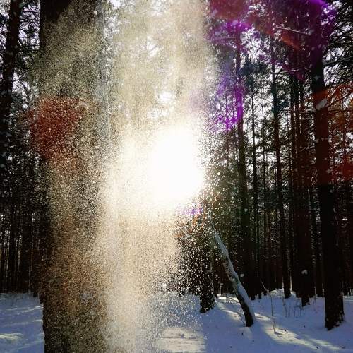 Photo #5873644