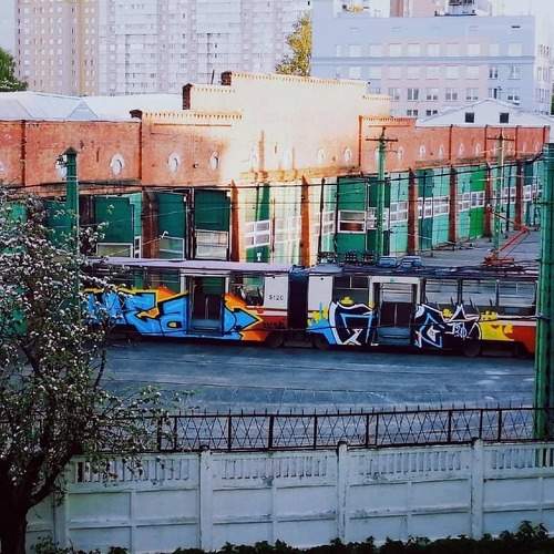 Photo #5873737