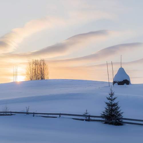 Photo #5873897