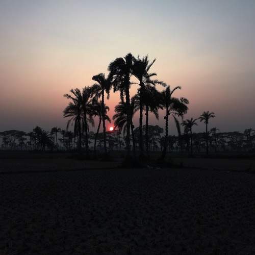 Photo #5874016