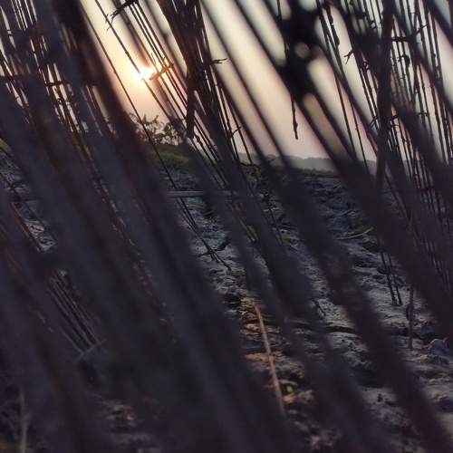 Photo #5874083