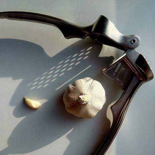 Photo #5874252
