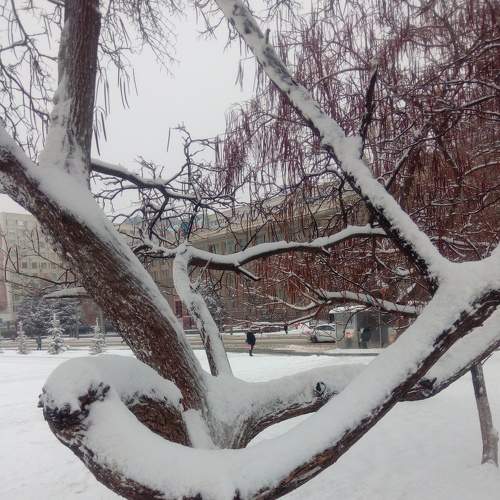 Photo #5874377