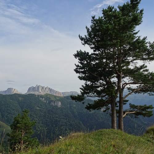 Photo #5874430
