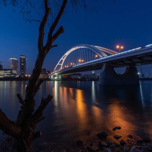 Photo #5874512