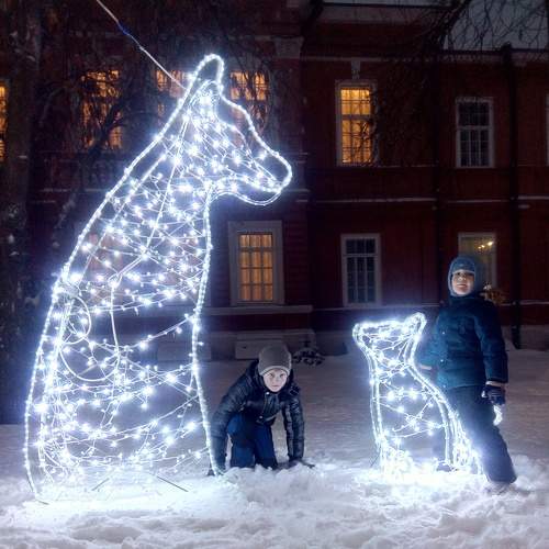 Photo #5874523